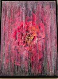 Remnants of Beauty:  Series Red